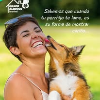 Perrito feliz en grooming en Grand Albergo